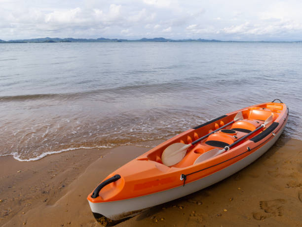 Top Tips for Choosing the Best Trolling Fishing Rods