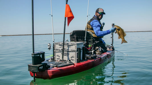 Beginner's Guide: Master Bass Fishing Gear and Techniques ReelYaks