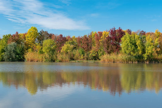 12 Fall Foliage Lakes That Beg for a Kayak | Reel Yaks