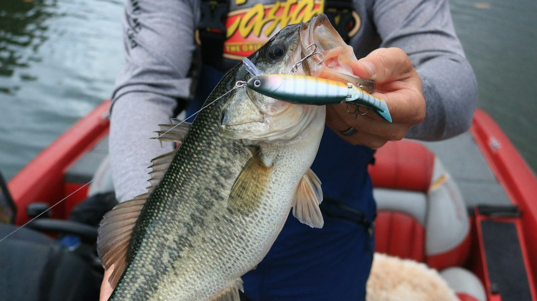 9 Fall Lures Every Modular Kayak Should Carry | Reel Yaks