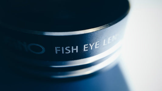 Floating vs Sinking Fluorocarbon for Hot-Water Bass