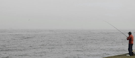How Tides Move Bait: A Kayak Angler's Primer