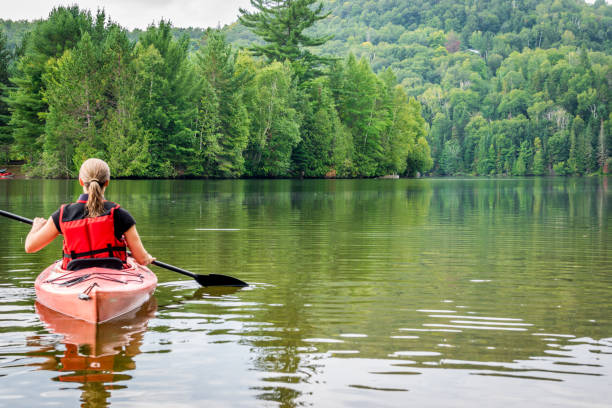 Beginner's Guide to Kayak Fishing: Tips and Tricks for a Successful Trip