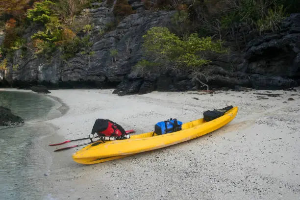 Your Ultimate Guide To Buying A Used Kayak: Top Tips! ReelYaks