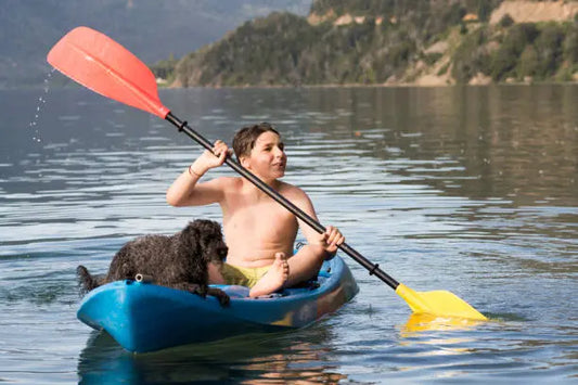 Kayaking Vs. Canoeing: Which Water Adventure Suits You? ReelYaks