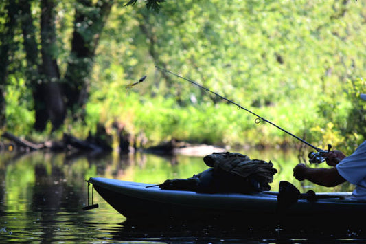 Fishing for Trout: A Beginner's Guide