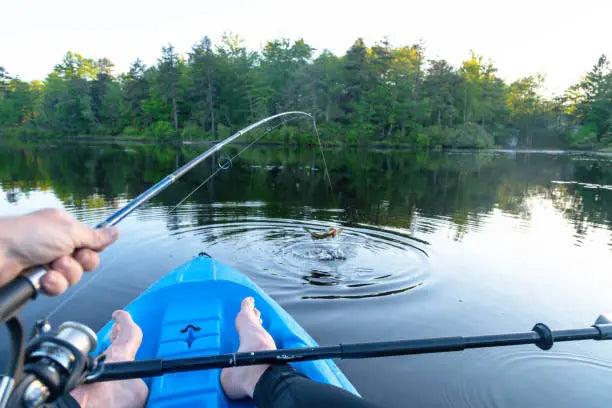 Top Fishing Rod Lengths for Bullheads: Your Ultimate Guide ReelYaks