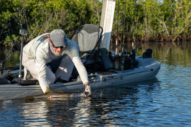 Saltwater Fishing: Tips and Tricks for the Open Sea