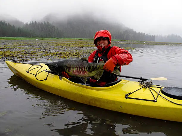 Ultimate Catfish Fishing Guide: Tips for Bait and Techniques ReelYaks