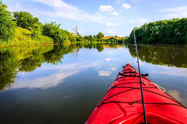 Ocean Kayaking Adventures: Discover Hidden Gems! ReelYaks