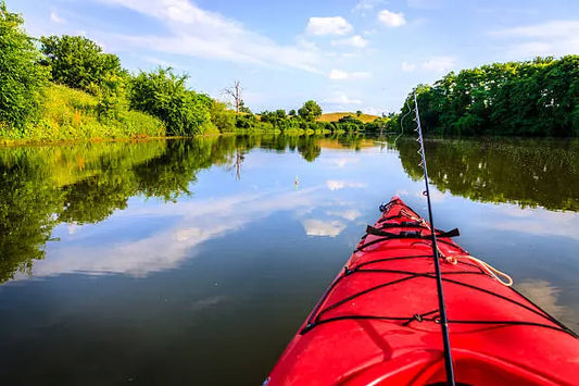 Ocean Kayaking Adventures: Discover Hidden Gems! ReelYaks