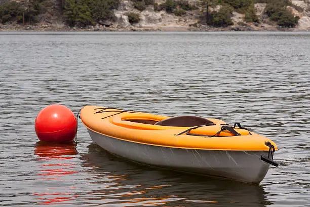 Exploring Kayak Types: Pros, Cons, and Best Options for You ReelYaks