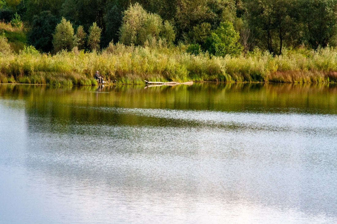 8 Lugares de Kayak para Evitar las Multitudes del 4 de Julio