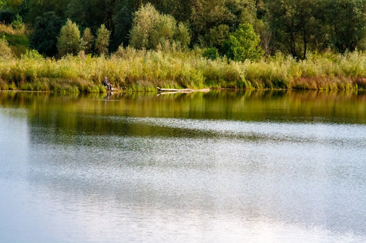 8 Lugares de Kayak para Evitar las Multitudes del 4 de Julio