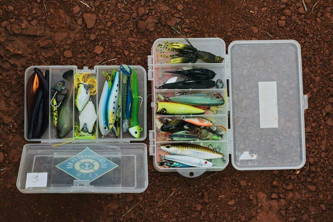 October Pattern: Why Bass Crash Topwater Now