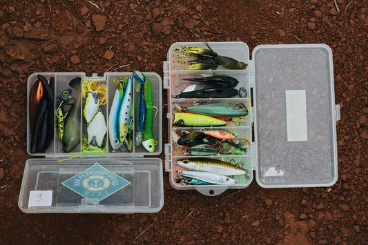 Patrón de Octubre: Por Qué los Bass Atacan Señuelos de Superficie