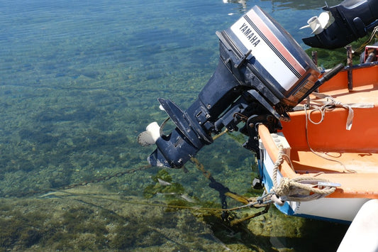 Pedal Kayaks Scare Fish: Myth or Reality? The Science Explained