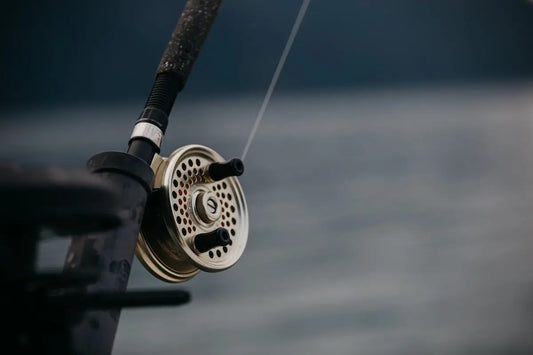 Consejos de Pesca en Kayak Económicos para Cada Aventurero