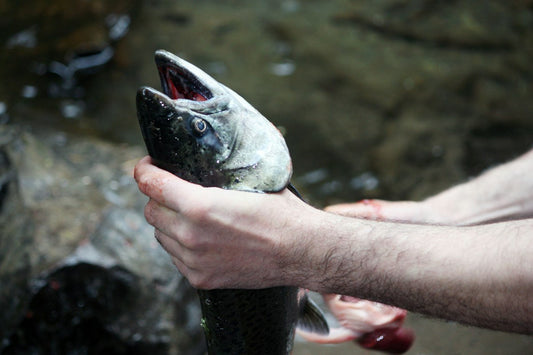 11 Pacific Northwest Salmon Spots Worth a Kayak Trip