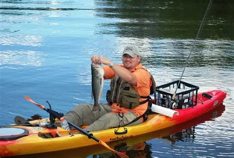 Mastering Fish Cleaning and Filleting: A Simple Guide ReelYaks